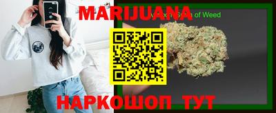 стаф Ставрополь