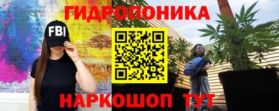 стаф Ставрополь