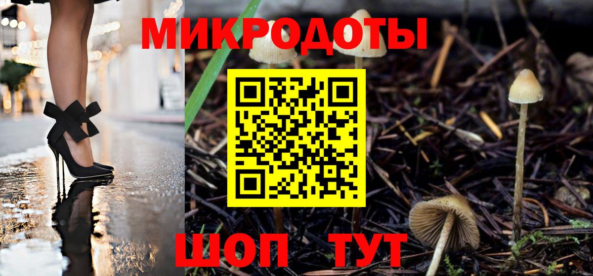 Псилоцибиновые грибы Cubensis Похвистнево