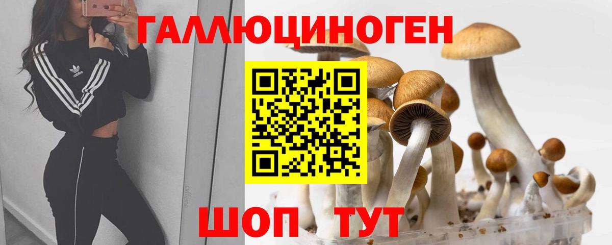 Галлюциногенные грибы GOLDEN TEACHER  Вход с VPN  Похвистнево  Галлюциногенные грибы Cubensis 